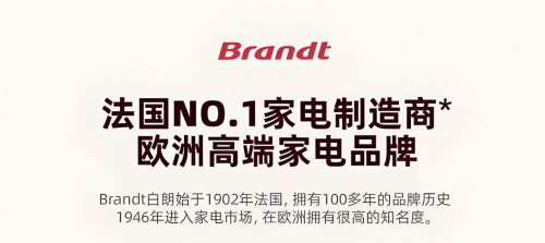 白朗BK4烤箱精准拿捏上流圈层品味尊龙凯时网站顶级富豪的一致选择法国(图2)